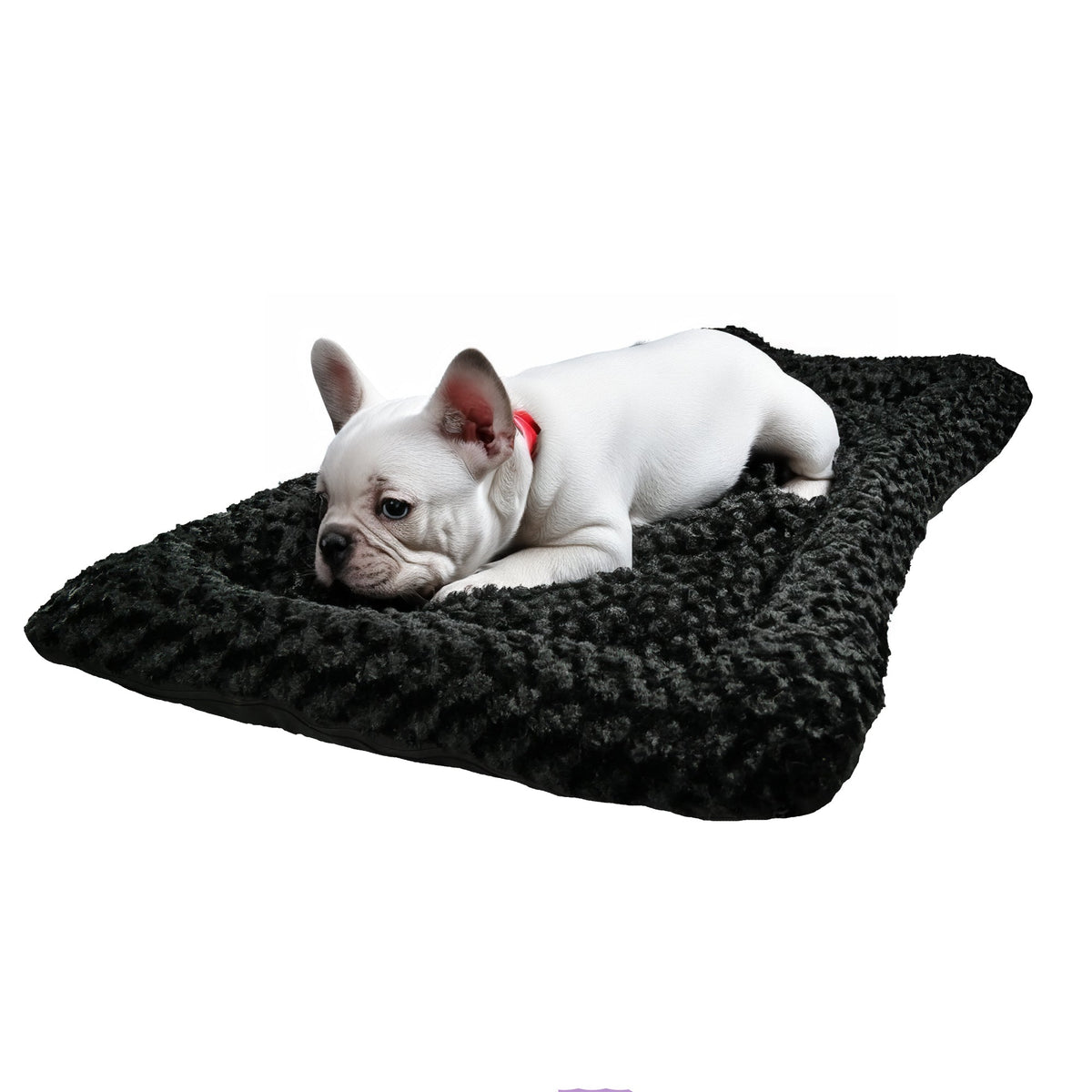 American Dog Furvana Cloud Bolstered Dog Bed (Shipping charges may apply)