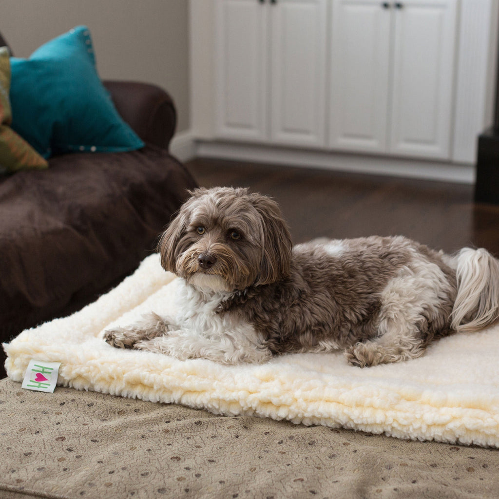 HuggleHounds HuggleFleece Mat Bed for Dogs & Cats (Shipping charges may apply)