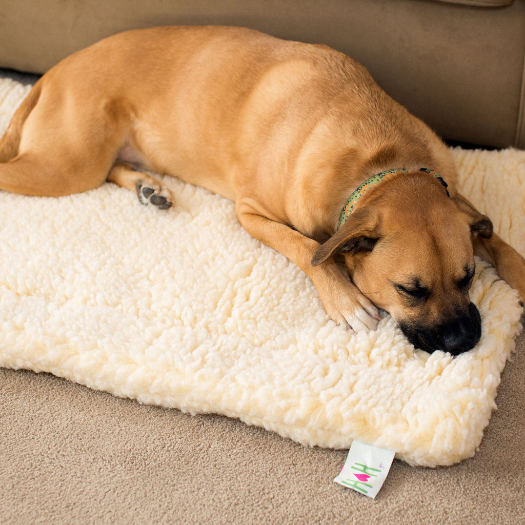 HuggleHounds HuggleFleece Mat Bed for Dogs & Cats (Shipping charges may apply)