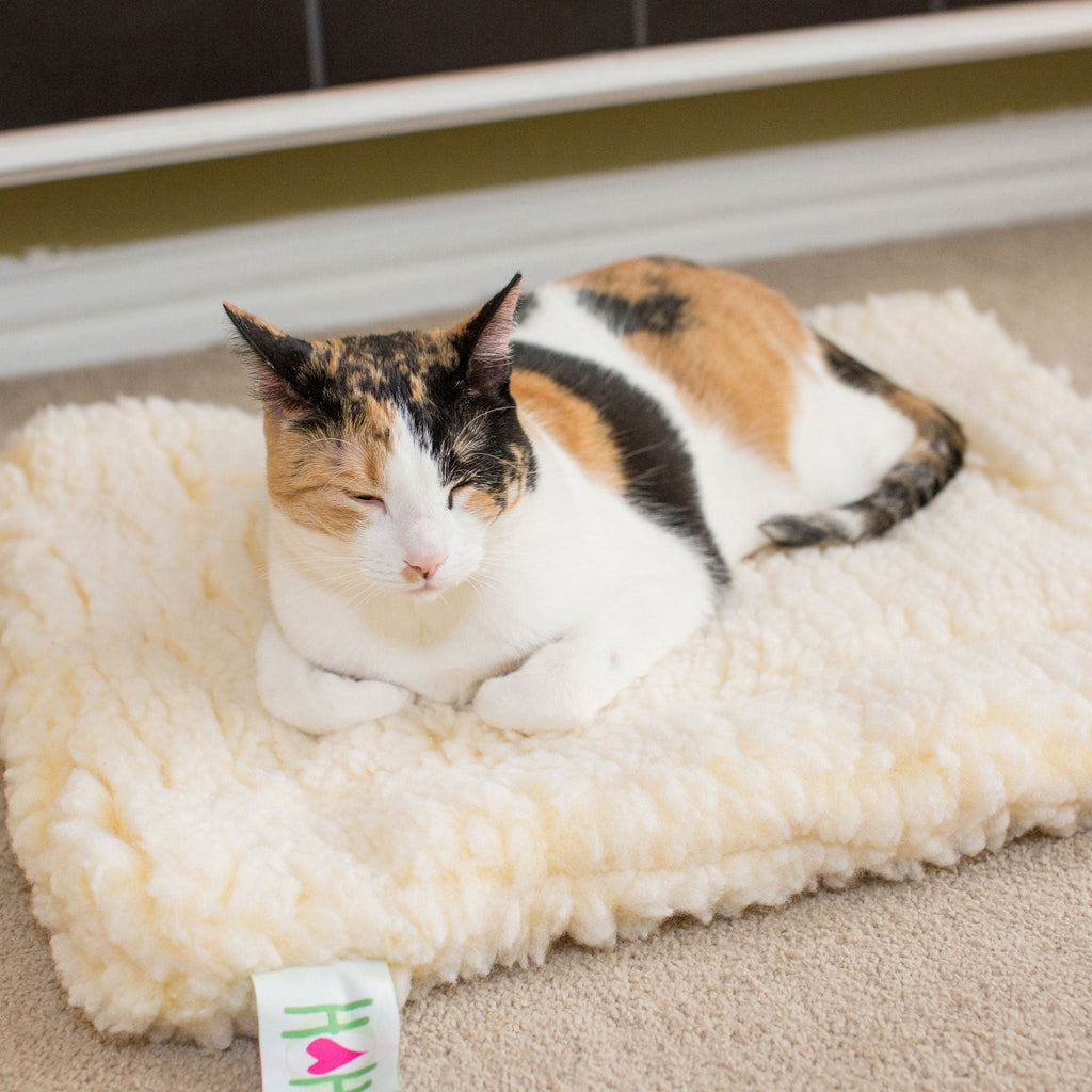 HuggleHounds HuggleFleece Mat Bed for Dogs & Cats (Shipping charges may apply)