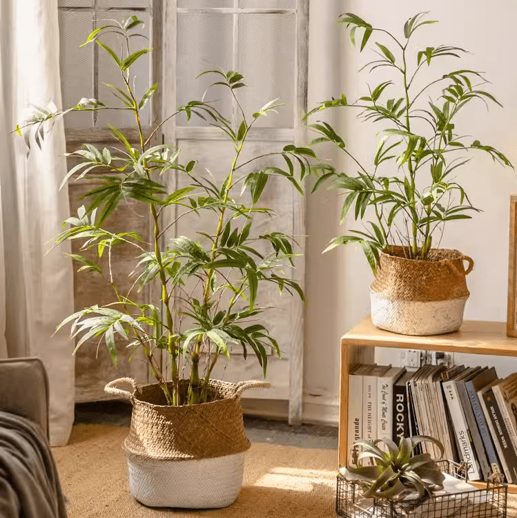 Artificial Bamboo Leaves in Pot (Shipping fees may apply)