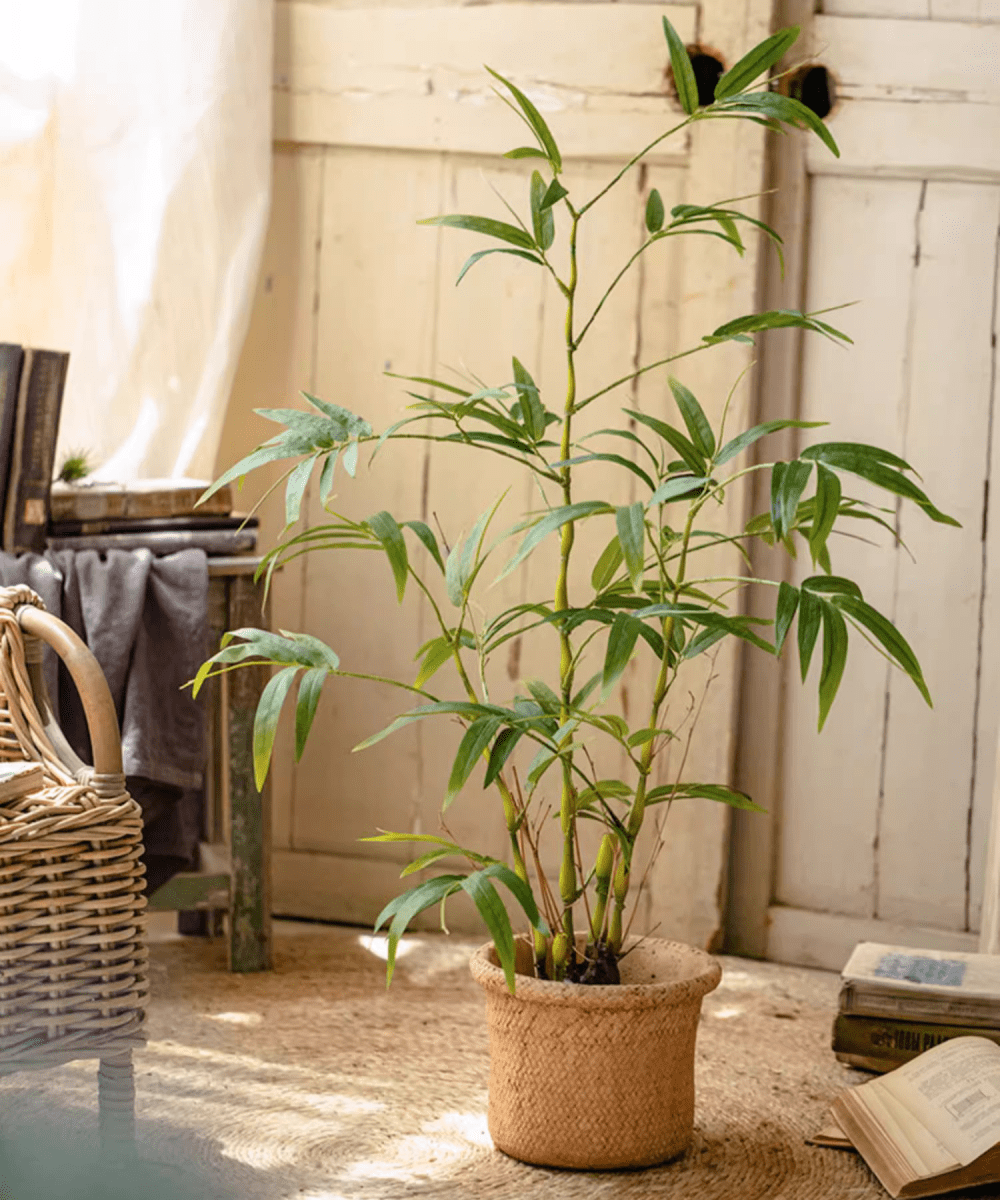 Artificial Bamboo Leaves in Pot (Shipping fees may apply)
