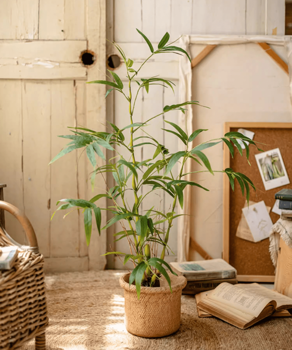 Artificial Bamboo Leaves in Pot (Shipping fees may apply)