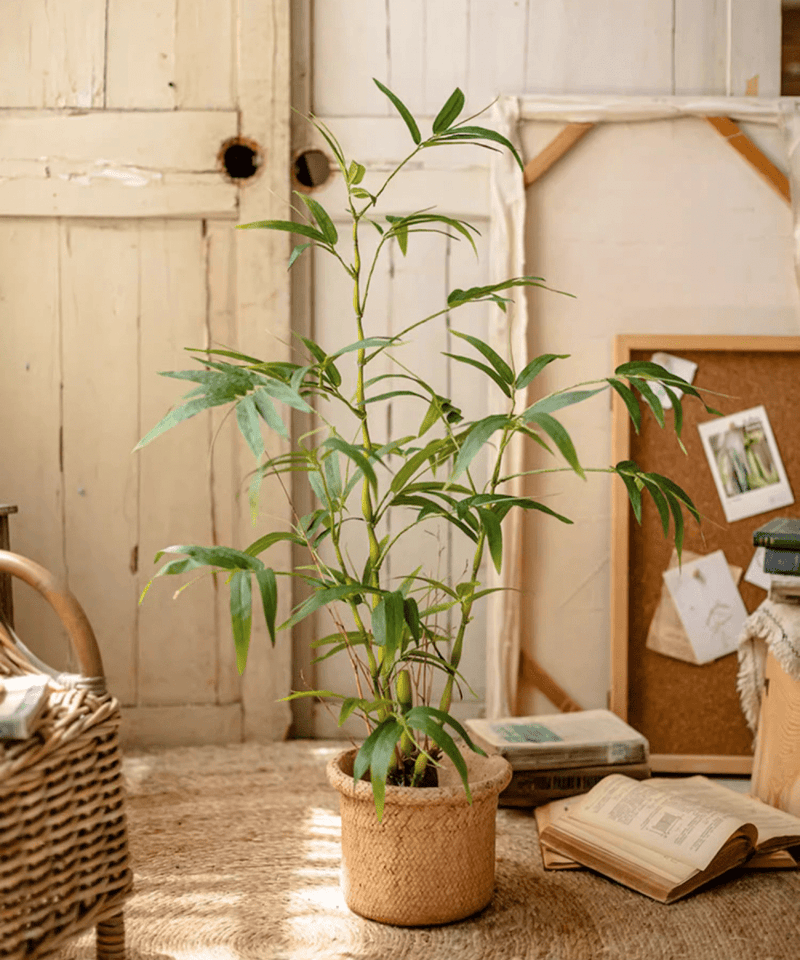 Artificial Bamboo Leaves in Pot (Shipping fees may apply)