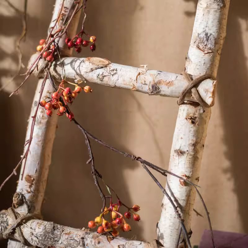 White Birch Wood Decorative Ladder (Shipping fees may apply)