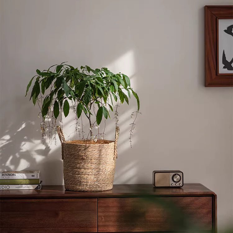 French Country Woven Planter Basket (Shipping fees may apply)