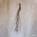 Ikebana Twig Branch (Shipping fees may apply)