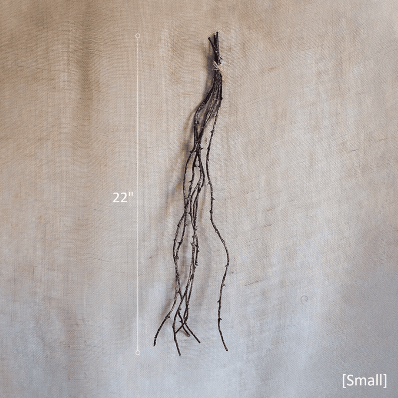 Ikebana Twig Branch (Shipping fees may apply)