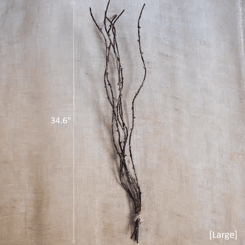 Ikebana Twig Branch (Shipping fees may apply)