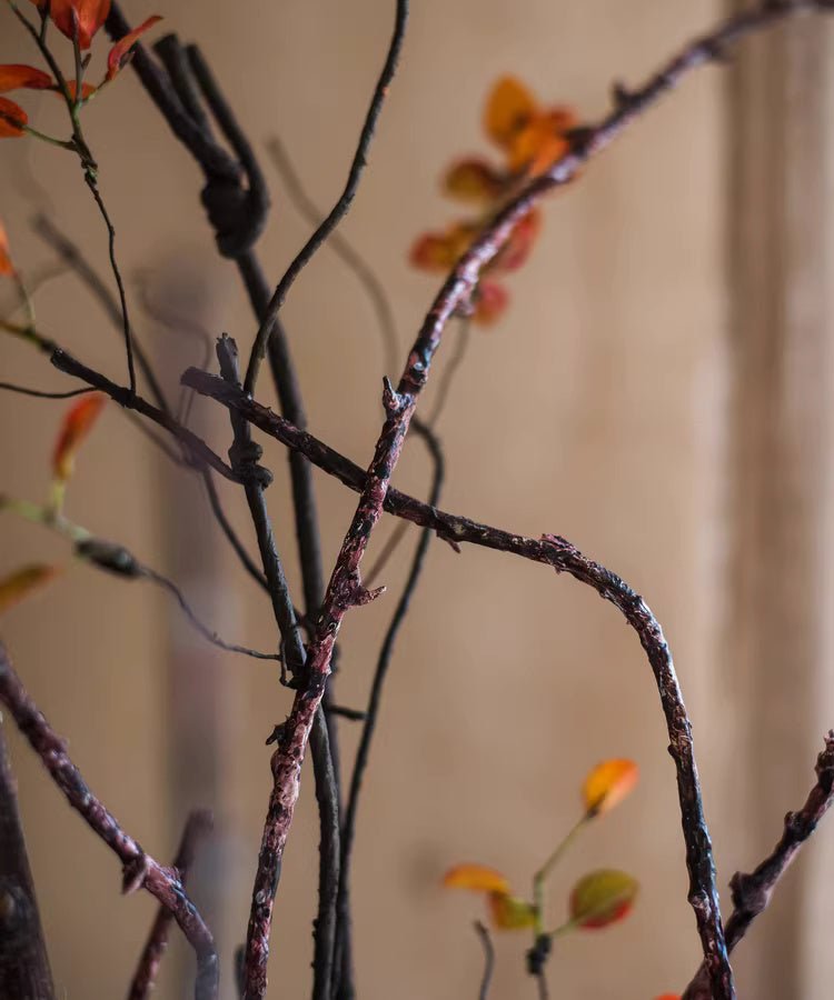 Ikebana Twig Branch (Shipping fees may apply)