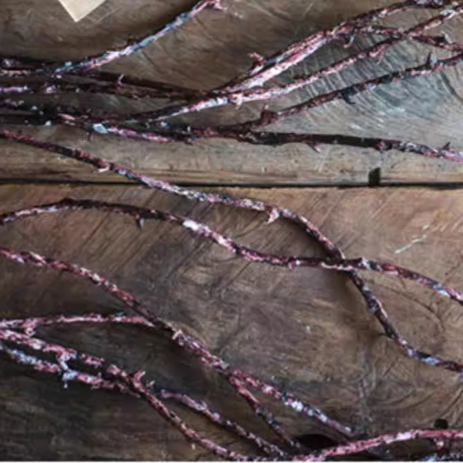 Ikebana Twig Branch (Shipping fees may apply)