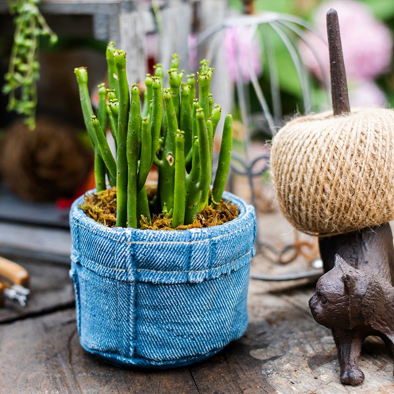 Pants for Plants Blue Jeans Cement Flower Pot (Shipping fees may apply)