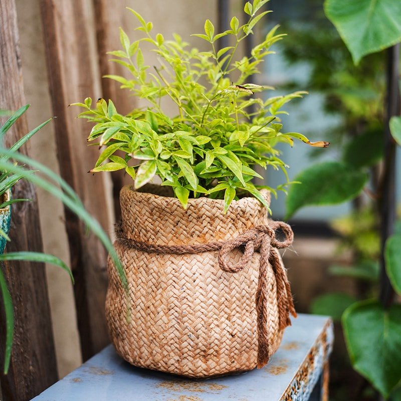 Ribbon Bag Style Concrete Garden Pot (Shipping fees may apply)
