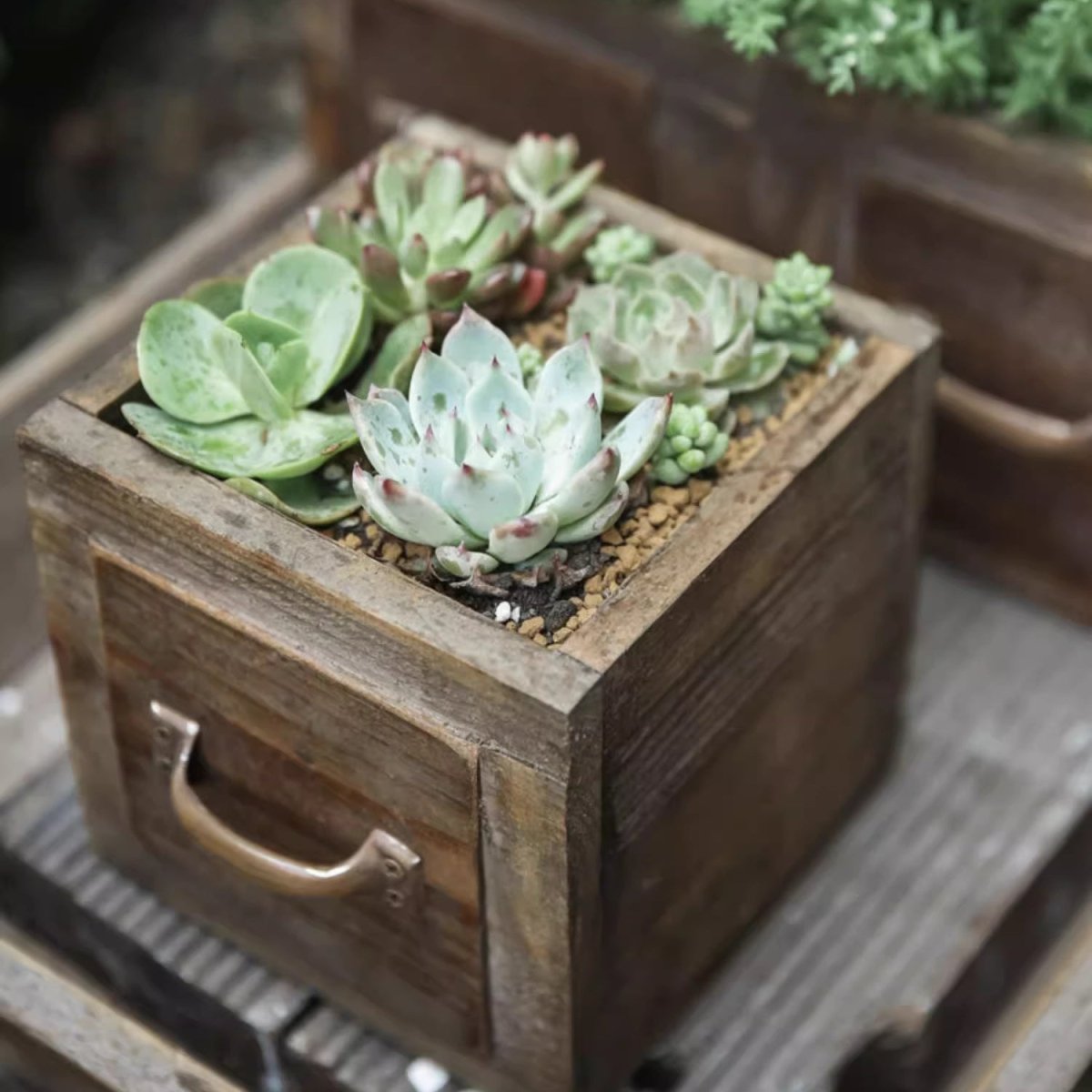 Farmhouse Wooden Box for Succulents or Flowers (Shipping fees may apply)