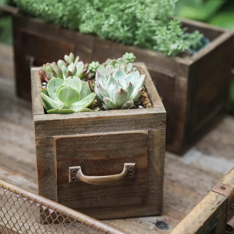 Farmhouse Wooden Box for Succulents or Flowers (Shipping fees may apply)