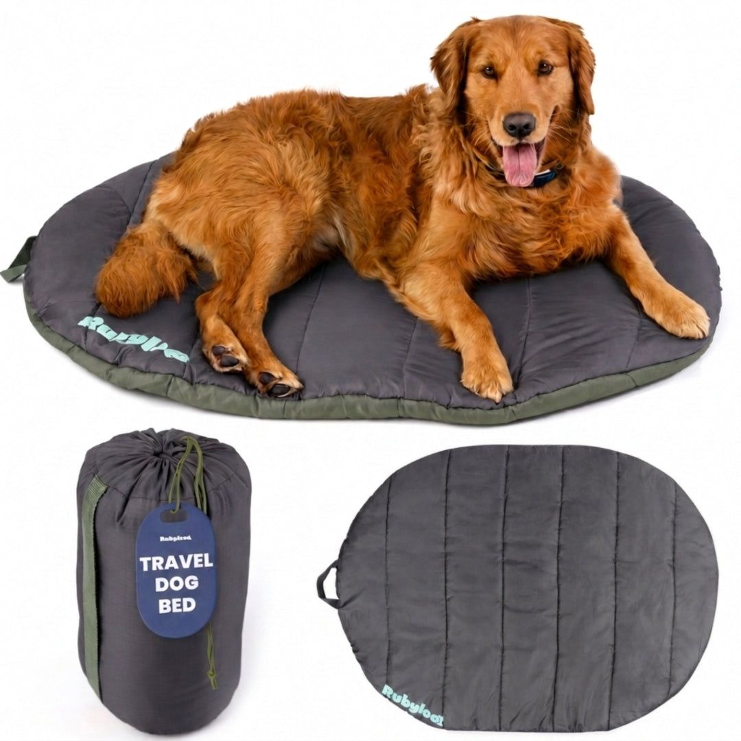 Rubyloo Foldable Travel Dog Bed with Carry Bag (Shipping charges may apply)