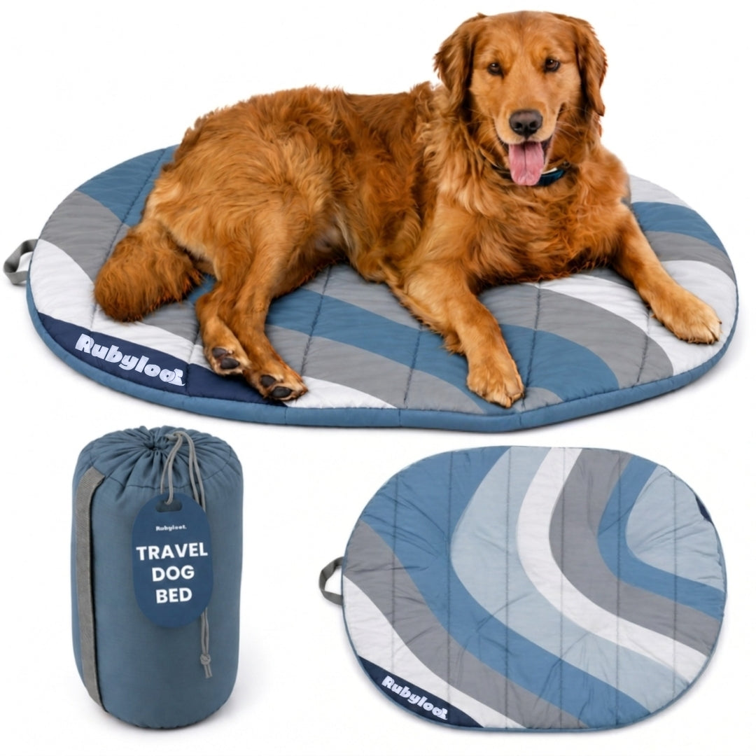 Rubyloo Foldable Travel Dog Bed with Carry Bag (Shipping charges may apply)
