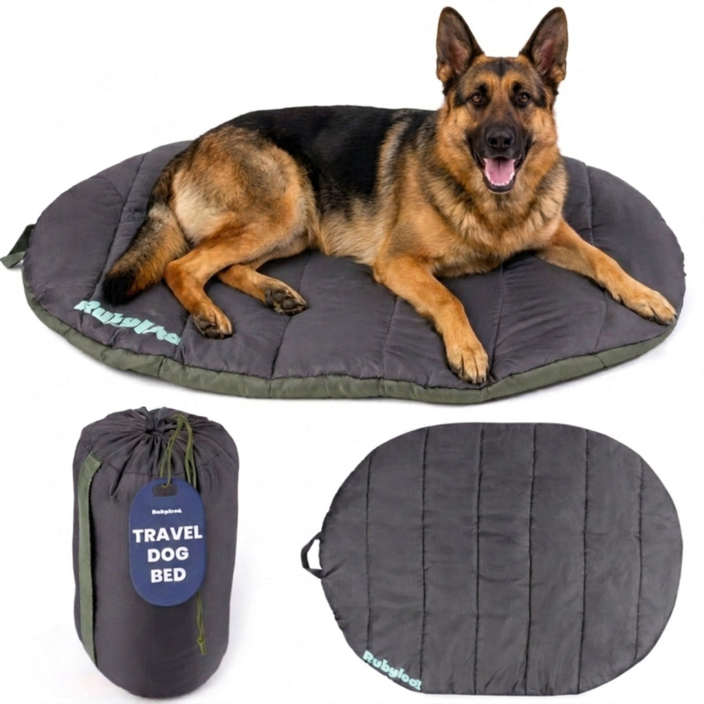 Rubyloo Foldable Travel Dog Bed with Carry Bag (Shipping charges may apply)