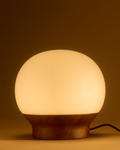 Brightech Marlow Walnut & Glass Table Lamp (Shipping fees may apply)