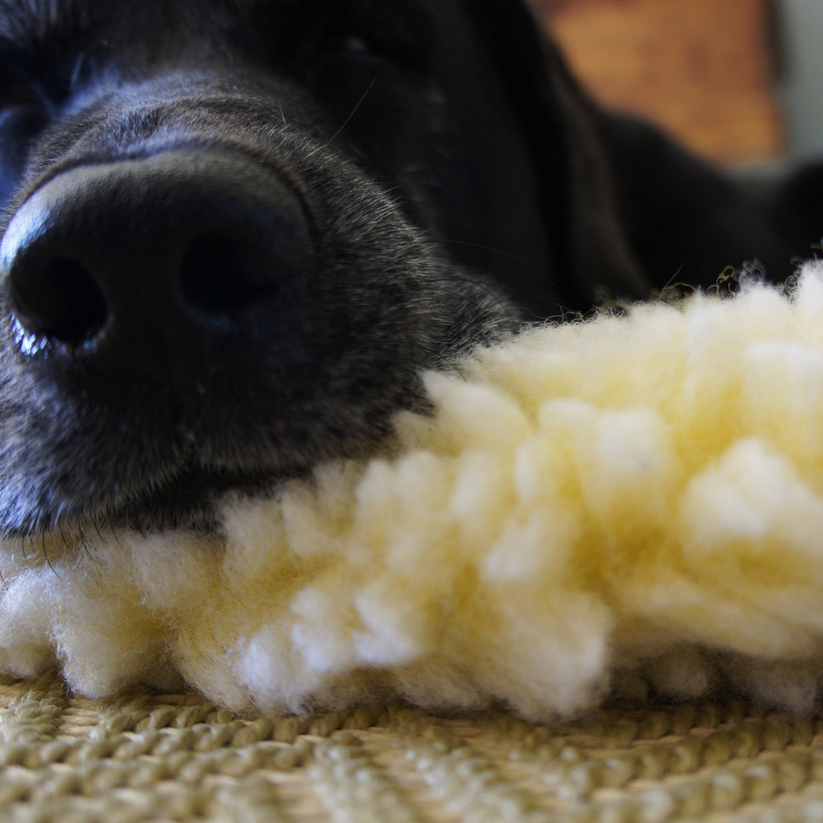 HuggleHounds HuggleFleece Mat Bed for Dogs & Cats (Shipping charges may apply)