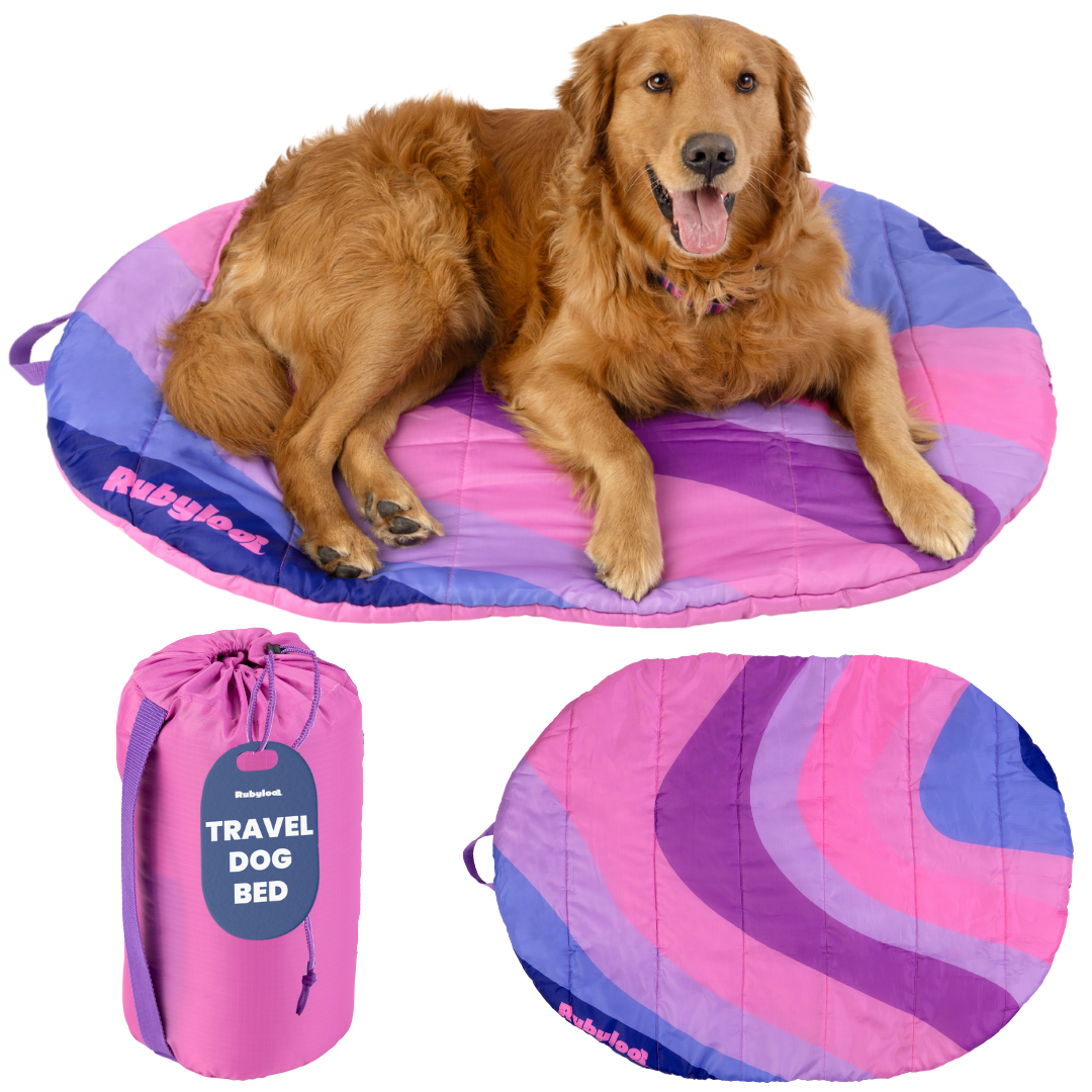 Rubyloo Foldable Travel Dog Bed with Carry Bag (Shipping charges may apply)
