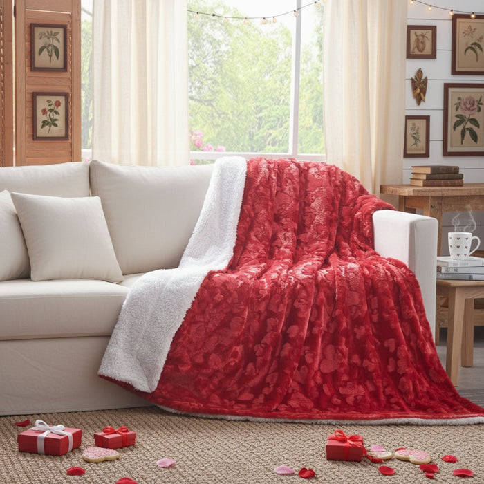 DaDa Bedding Luxury Romantic Red Lovely Hearts Dreamy Plush Faux Fur Throw Blanket (19)