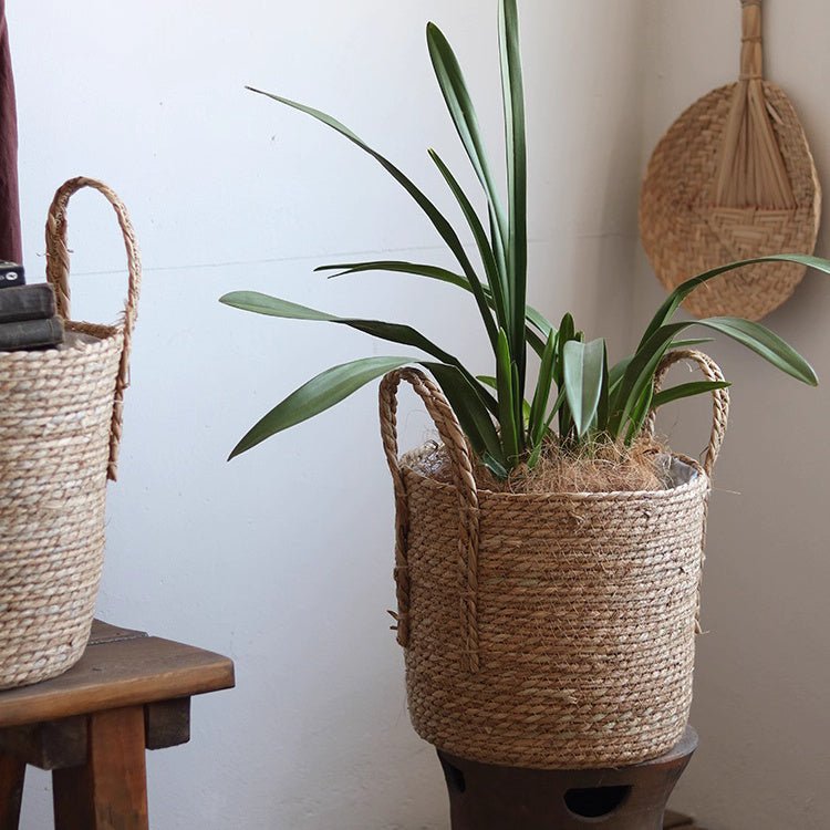 Handwoven Seagrass Basket for Plants (Shipping fees may apply)
