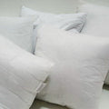 Premium Down & Feather Pillow Inserts - 20x20 to 30x30 (Shipping fees may apply)