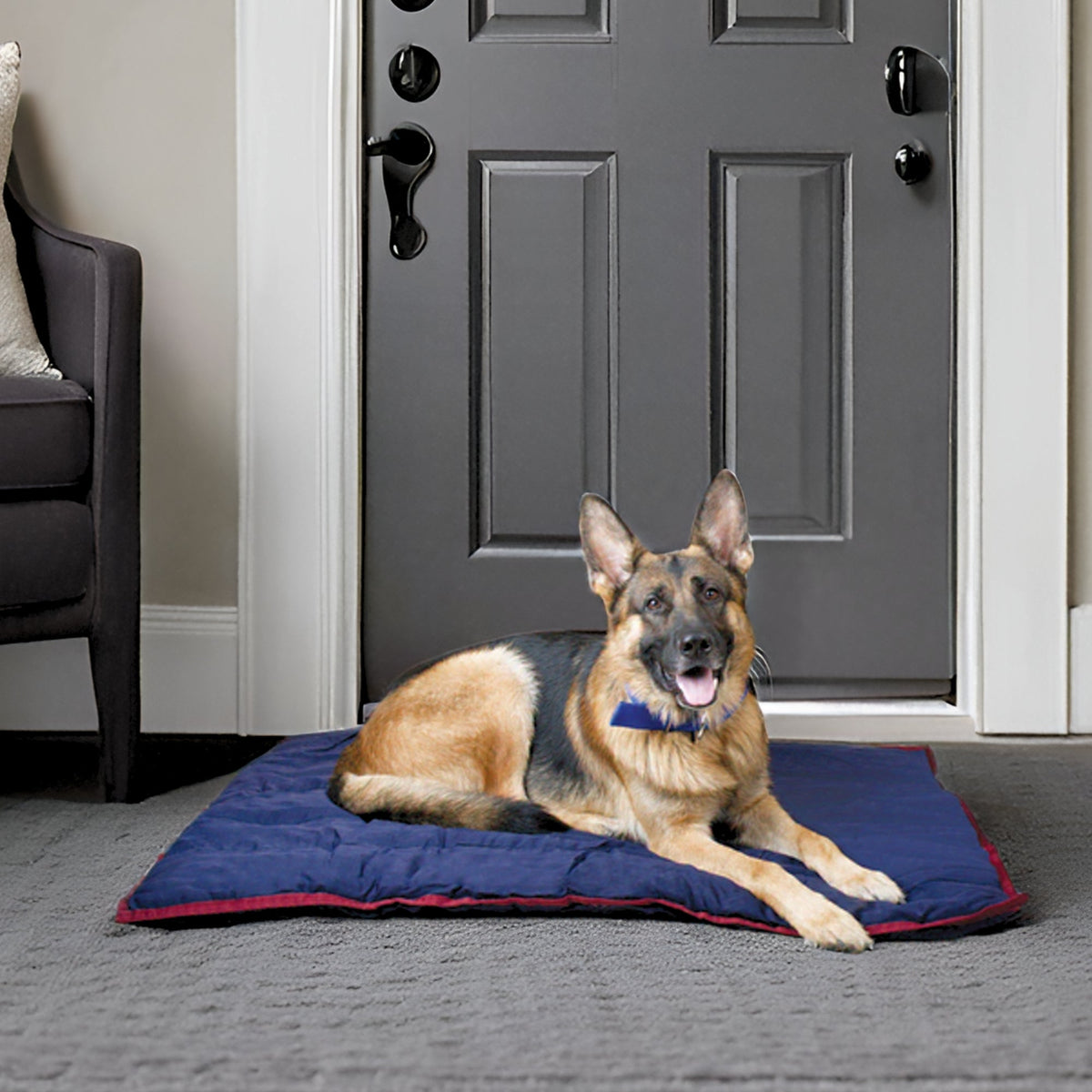 Jeffers Washable Dog Pillow Bed & Crate Pad (Shipping charges may apply)