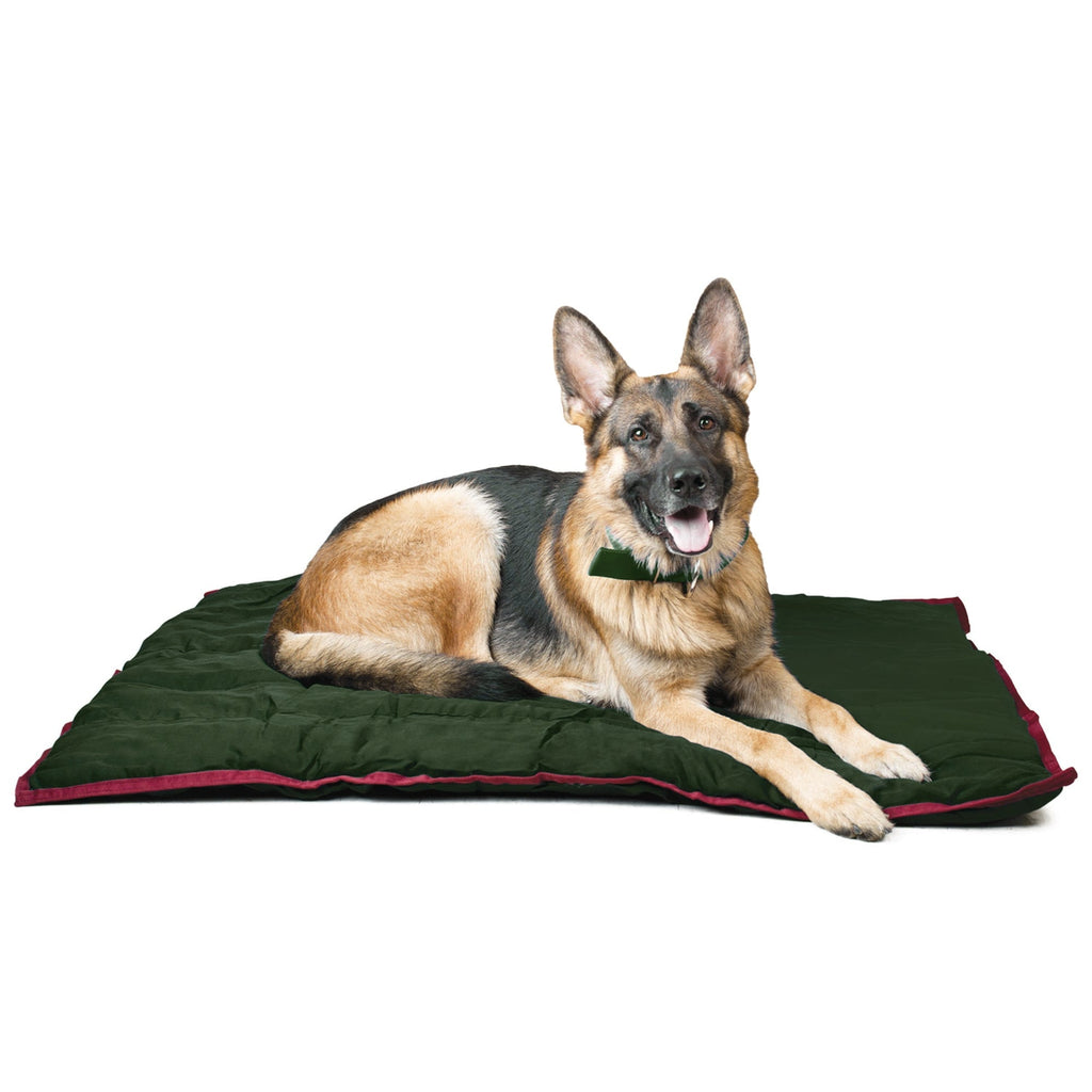 Jeffers Washable Dog Pillow Bed & Crate Pad (Shipping charges may apply)