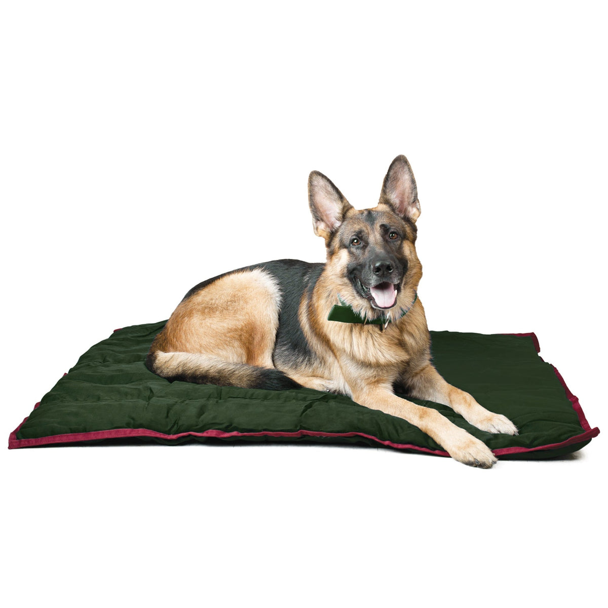 Jeffers Washable Dog Pillow Bed & Crate Pad (Shipping charges may apply)