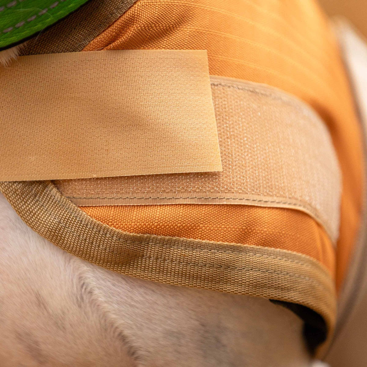 Jeffers Breathe-Comfort Waterproof Dog Blanket Coat, 200g (Shipping charges may apply)