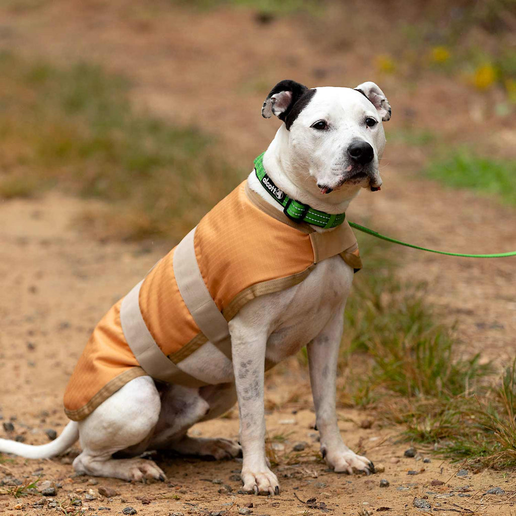 Jeffers Breathe-Comfort Waterproof Dog Blanket Coat, 200g (Shipping charges may apply)