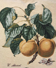 DaDa Bedding Apricot Fruit Elegant Accent Throw Pillow Cushion Cover - 1-Piece - 18" - DaDa Bedding Collection