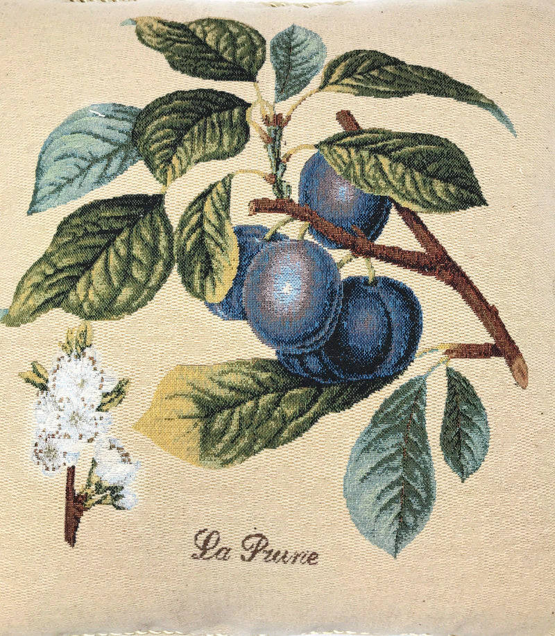 DaDa Bedding Set of 2-Pieces Sugar Plum Fruits Garden Tapestry Throw Pillow Covers w/ Inserts, 18" x 18" - DaDa Bedding Collection