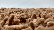 DaDa Bedding Coffee Brown Shaggy Soft Chenille Noodle Carpet Rug Bath Mat - DaDa Bedding Collection